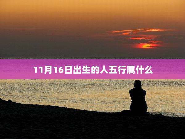 11月16日出生的人五行属什么