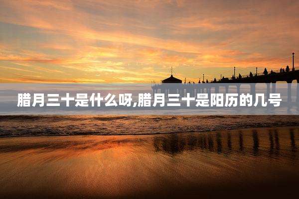 腊月三十是什么呀,腊月三十是阳历的几号