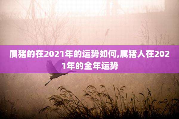 属猪的在2021年的运势如何,属猪人在2021年的全年运势