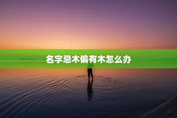 名字忌木偏有木怎么办