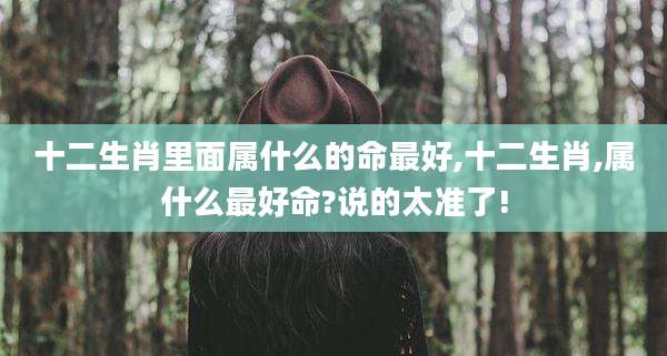 十二生肖里面属什么的命最好,十二生肖,属什么最好命?说的太准了!