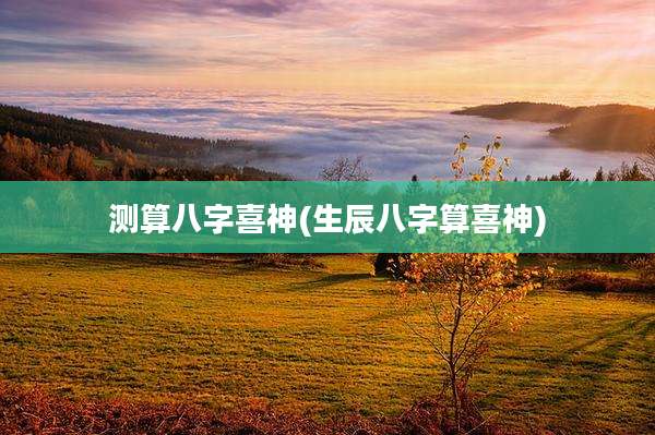 测算八字喜神(生辰八字算喜神)