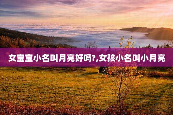 女宝宝小名叫月亮好吗?,女孩小名叫小月亮