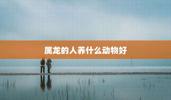 属龙的人养什么动物好