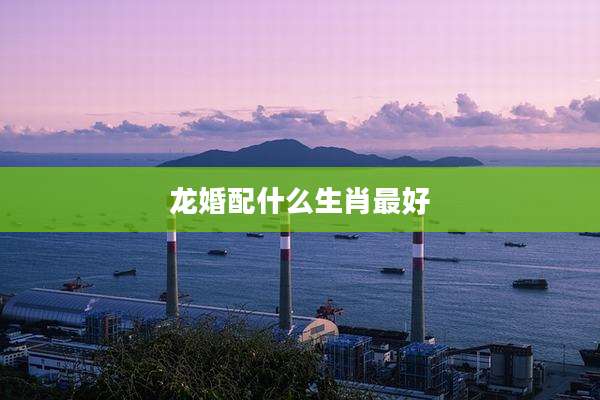 龙婚配什么生肖最好