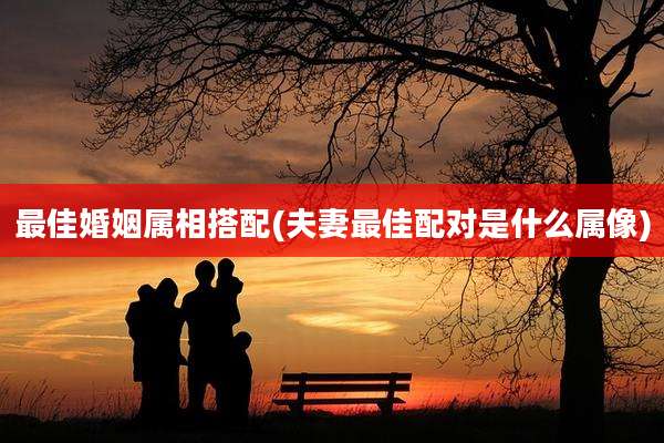 最佳婚姻属相搭配(夫妻最佳配对是什么属像)