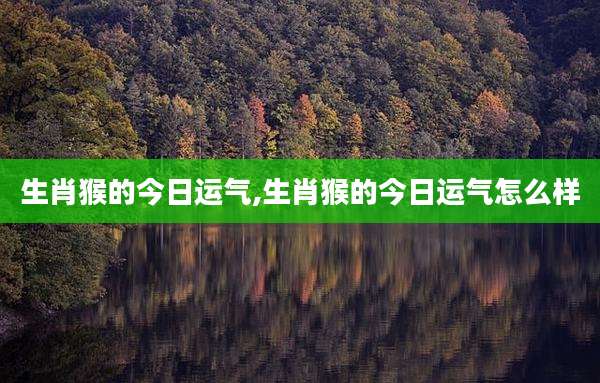 生肖猴的今日运气,生肖猴的今日运气怎么样