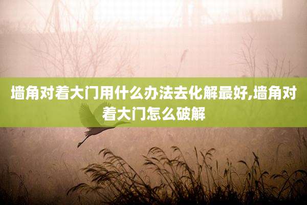 墙角对着大门用什么办法去化解最好,墙角对着大门怎么破解