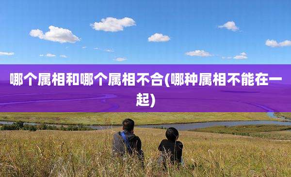 哪个属相和哪个属相不合(哪种属相不能在一起)