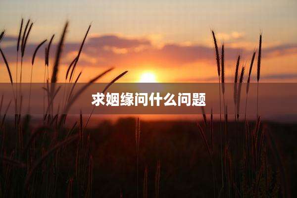 求姻缘问什么问题