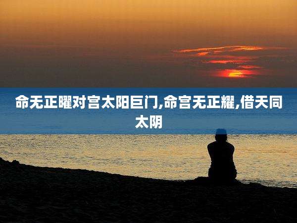 命无正曜对宫太阳巨门,命宫无正耀,借天同太阴
