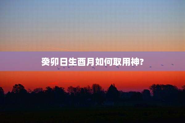 癸卯日生酉月如何取用神?