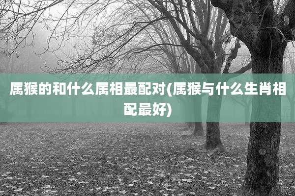 属猴的和什么属相最配对(属猴与什么生肖相配最好)