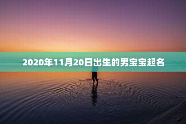 2020年11月20日出生的男宝宝起名