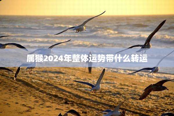 属猴2024年整体运势带什么转运