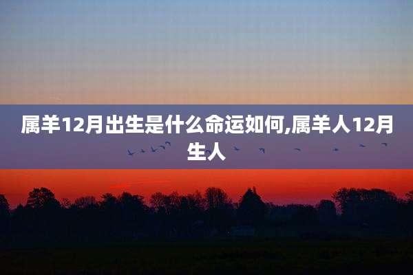 属羊12月出生是什么命运如何,属羊人12月生人