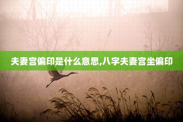 夫妻宫偏印是什么意思,八字夫妻宫坐偏印