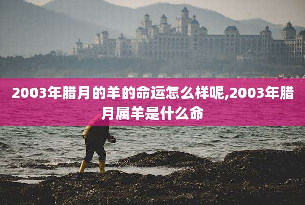 2003年腊月的羊的命运怎么样呢,2003年腊月属羊是什么命