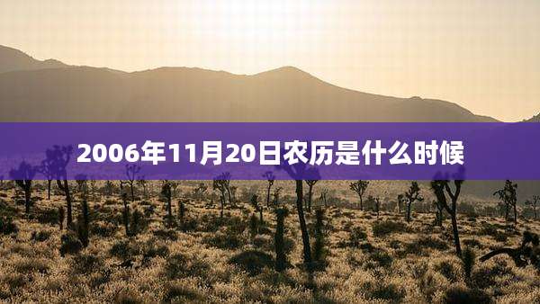 2006年11月20日农历是什么时候