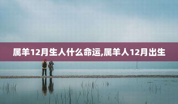 属羊12月生人什么命运,属羊人12月出生