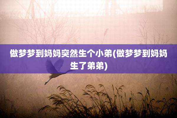 做梦梦到妈妈突然生个小弟(做梦梦到妈妈生了弟弟)