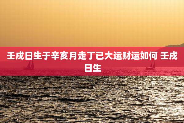 壬戍日生于辛亥月走丁已大运财运如何 壬戌日生