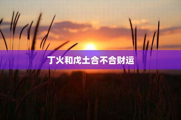 丁火和戊土合不合财运