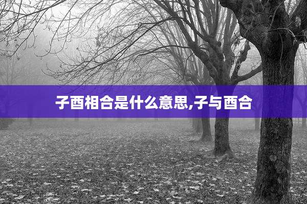 子酉相合是什么意思,子与酉合