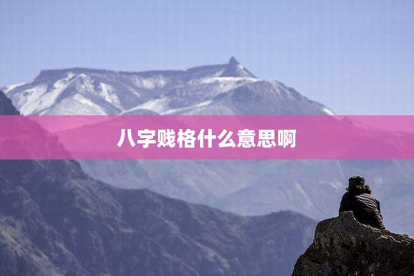 八字贱格什么意思啊