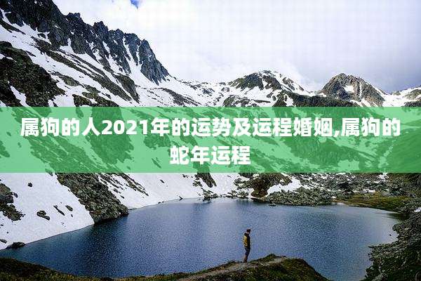 属狗的人2021年的运势及运程婚姻,属狗的蛇年运程