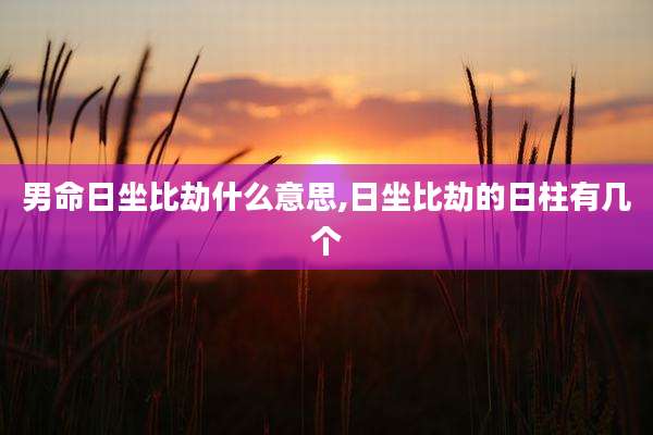 男命日坐比劫什么意思,日坐比劫的日柱有几个