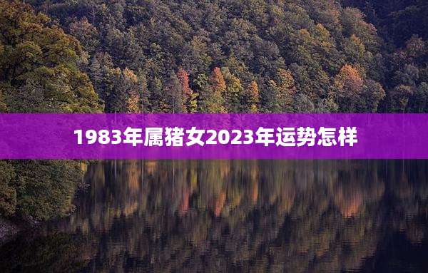 1983年属猪女2023年运势怎样