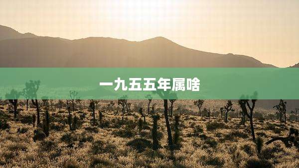 一九五五年属啥