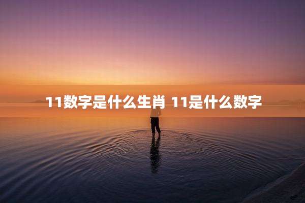 11数字是什么生肖 11是什么数字