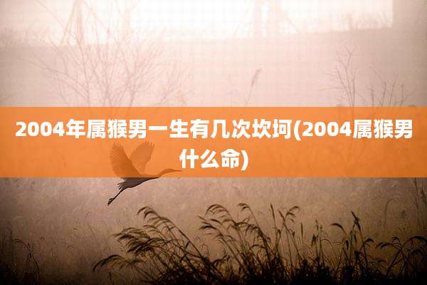 2004年属猴男一生有几次坎坷(2004属猴男什么命)