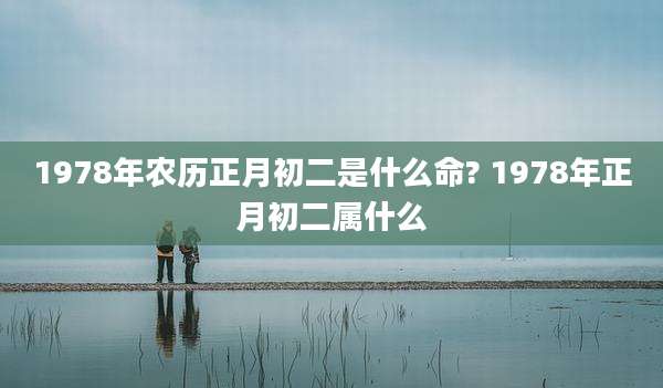 1978年农历正月初二是什么命? 1978年正月初二属什么