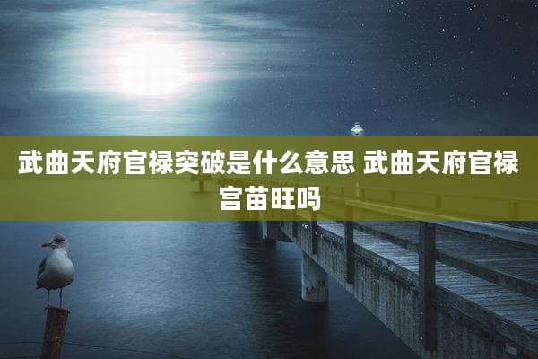 武曲天府官禄突破是什么意思 武曲天府官禄宫苗旺吗