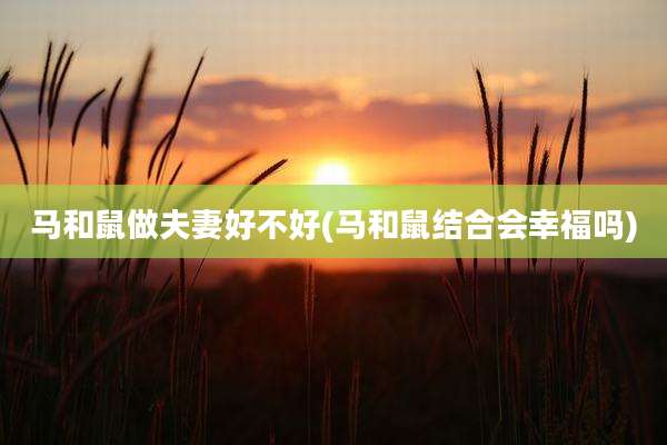 马和鼠做夫妻好不好(马和鼠结合会幸福吗)