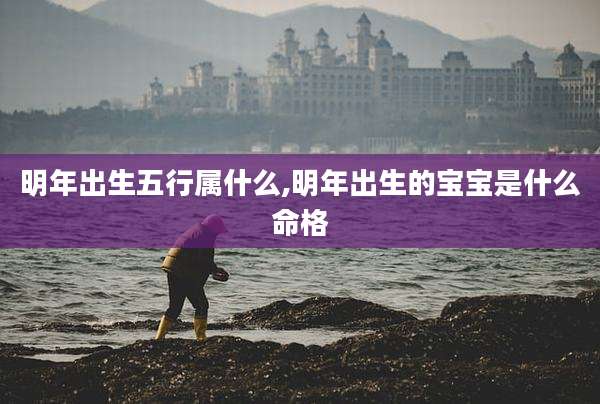 明年出生五行属什么,明年出生的宝宝是什么命格