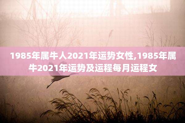 1985年属牛人2021年运势女性,1985年属牛2021年运势及运程每月运程女