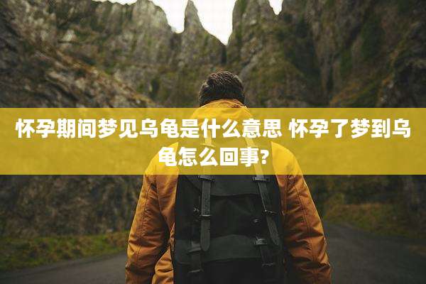 怀孕期间梦见乌龟是什么意思 怀孕了梦到乌龟怎么回事?