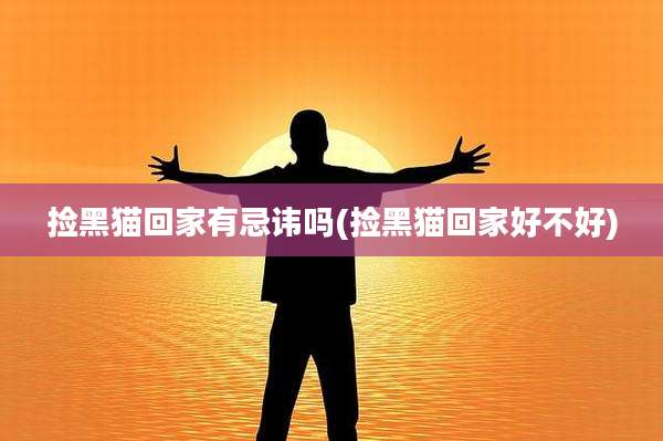捡黑猫回家有忌讳吗(捡黑猫回家好不好)