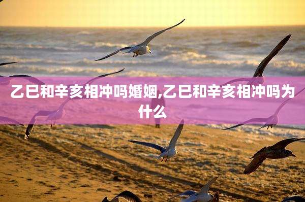 乙巳和辛亥相冲吗婚姻,乙巳和辛亥相冲吗为什么