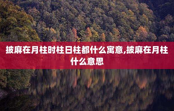 披麻在月柱时柱日柱都什么寓意,披麻在月柱什么意思