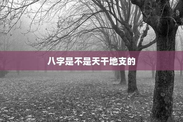 八字是不是天干地支的