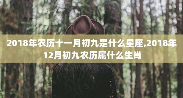 2018年农历十一月初九是什么星座,2018年12月初九农历属什么生肖