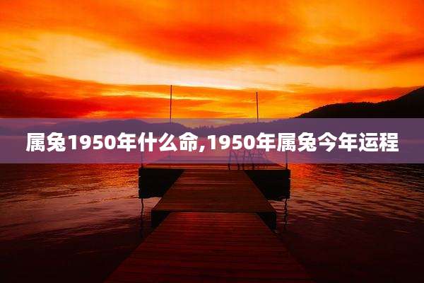 属兔1950年什么命,1950年属兔今年运程