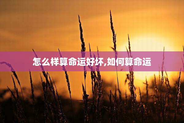 怎么样算命运好坏,如何算命运