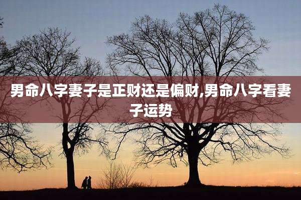 男命八字妻子是正财还是偏财,男命八字看妻子运势