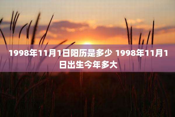 1998年11月1日阳历是多少 1998年11月1日出生今年多大